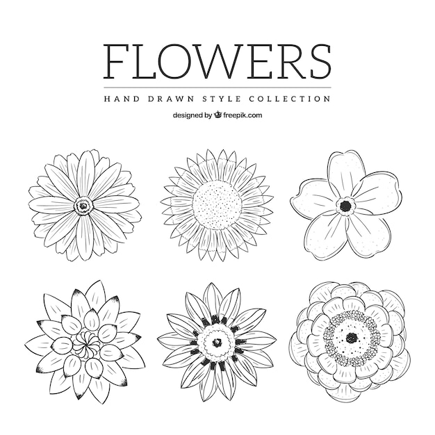 Free vector hand-drawn set of decorative flowers