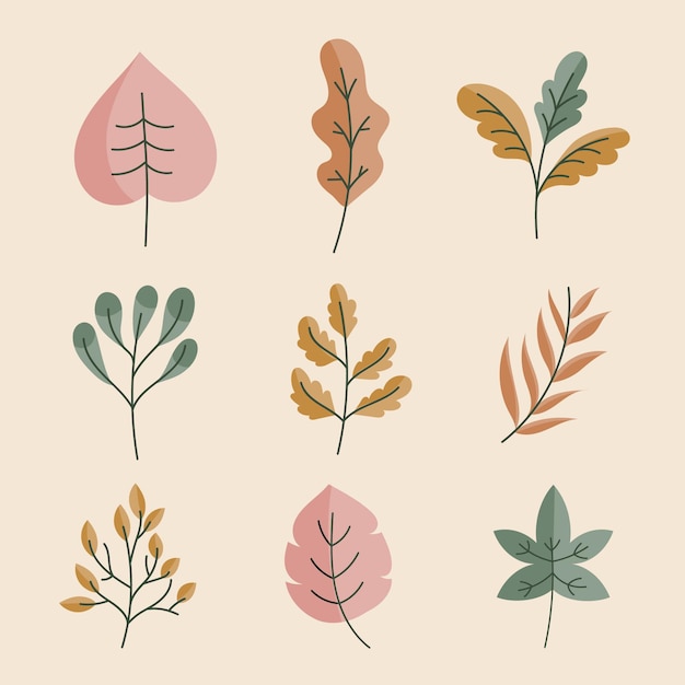 Hand drawn set of leaves