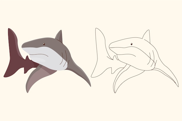 Hand drawn shark outline illustration