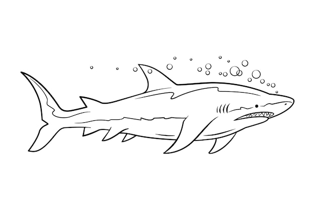 Hand drawn shark outline illustration