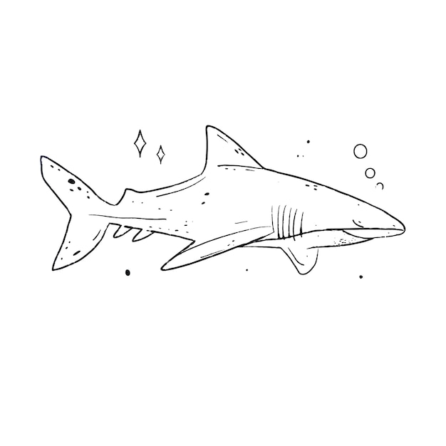 Hand drawn shark outline illustration