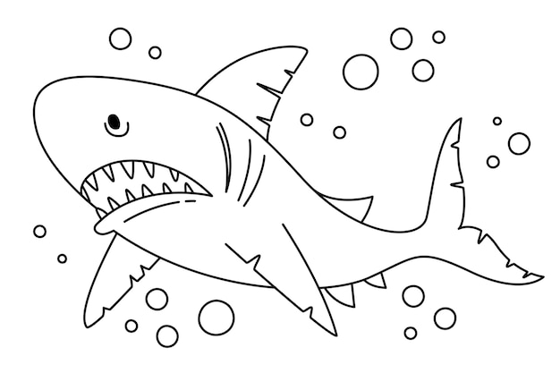 Hand drawn shark outline illustration