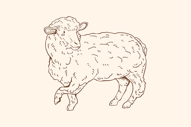 Free Vector hand drawn sheep outline illustration