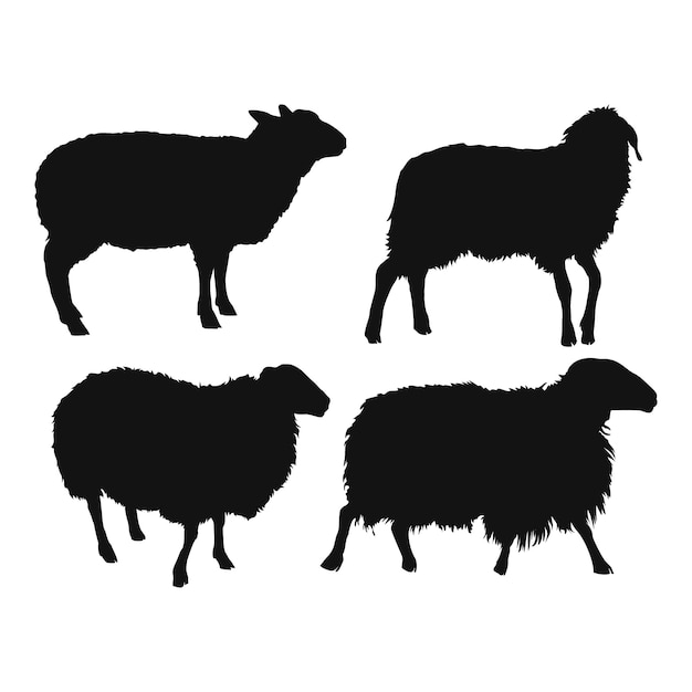 Hand drawn sheep silhouette