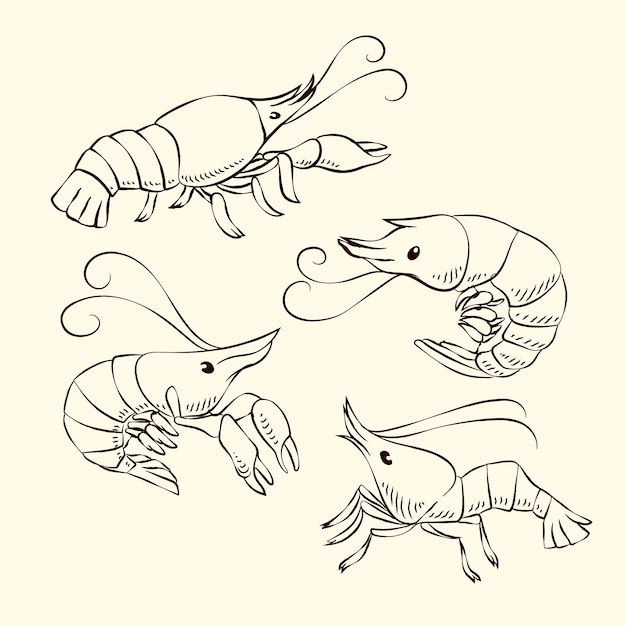 Free Vector hand drawn shrimp  outline illustration