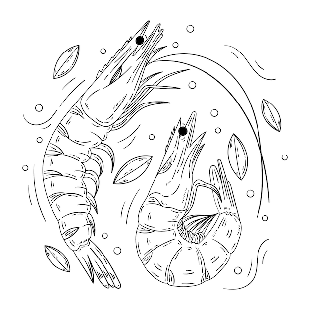 Free Vector hand drawn shrimp  outline illustration