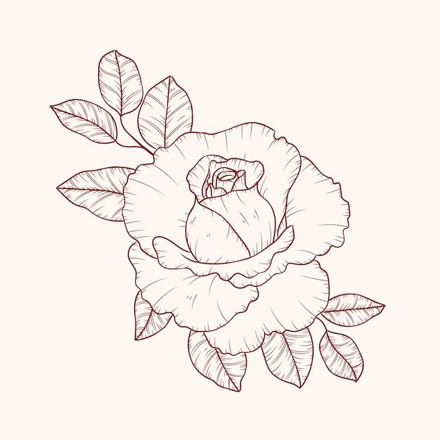 Hand drawn simple flower outline illustration