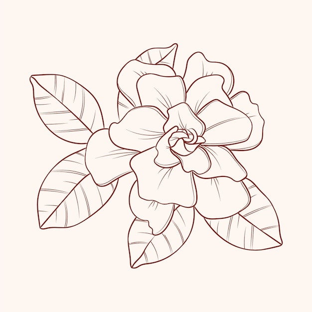 Hand drawn simple flower outline illustration