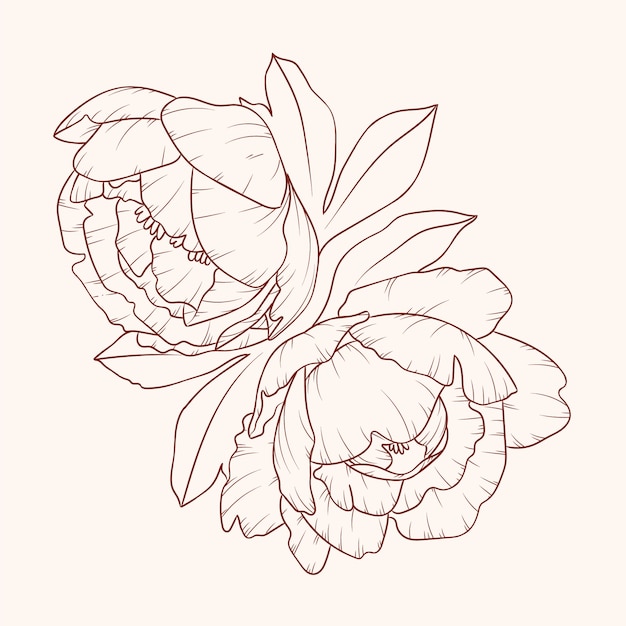 Free vector hand drawn simple flower outline illustration