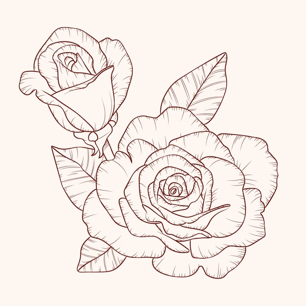 Free Vector hand drawn simple flower outline illustration