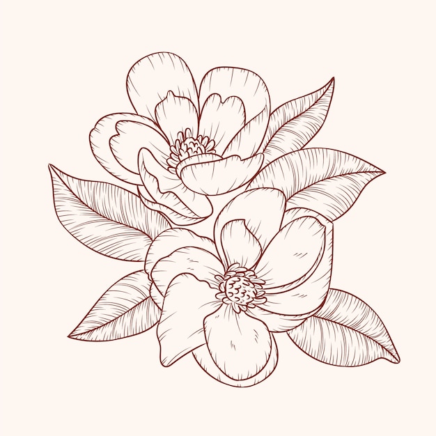 Hand drawn simple flower outline illustration