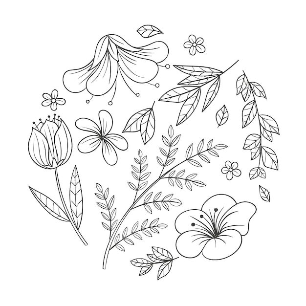 Hand drawn simple flower outline illustration