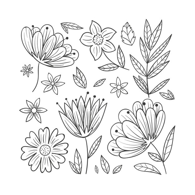 Hand drawn simple flower outline illustration