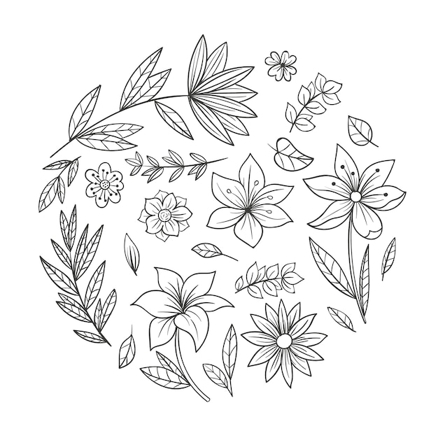 Hand drawn simple flower outline illustration