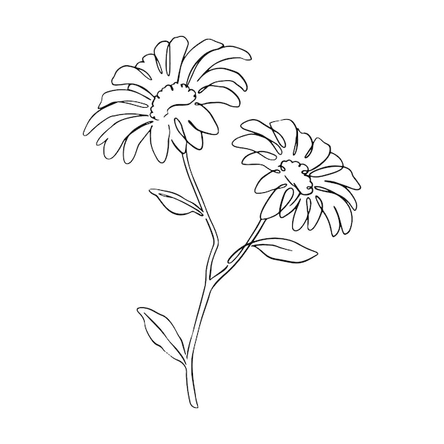 Hand drawn simple flower outline illustration