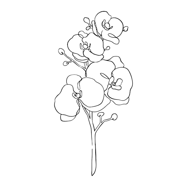 Hand drawn simple flower outline illustration