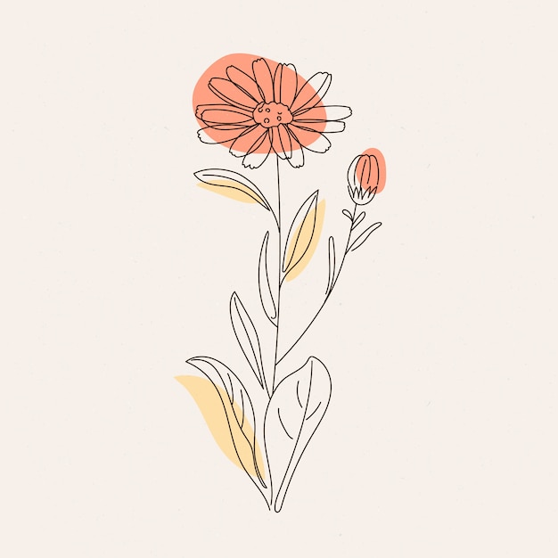 Free vector hand drawn simple flower outline illustration