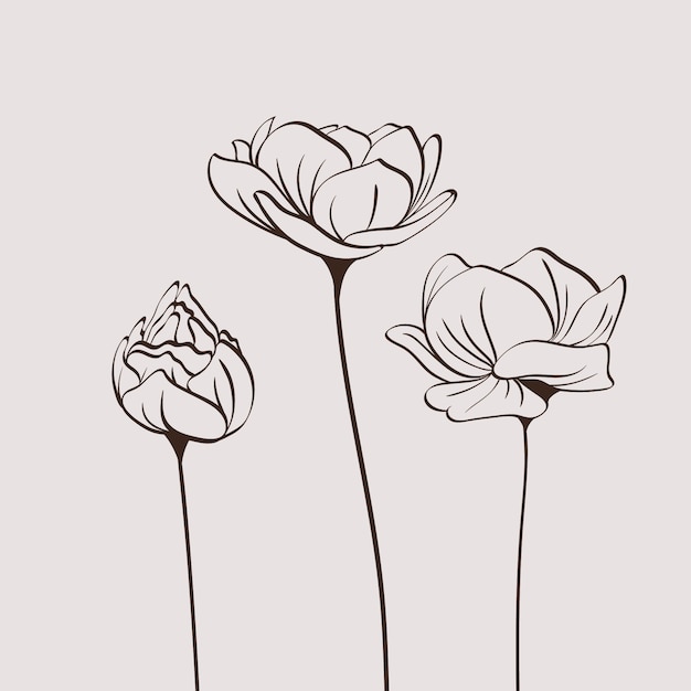 Hand drawn simple flower outline illustration