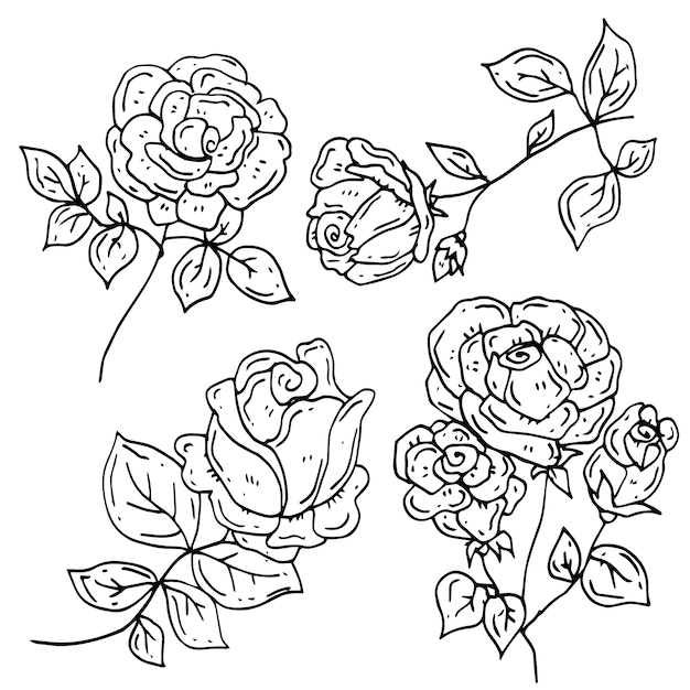 Hand drawn simple flower outline illustration