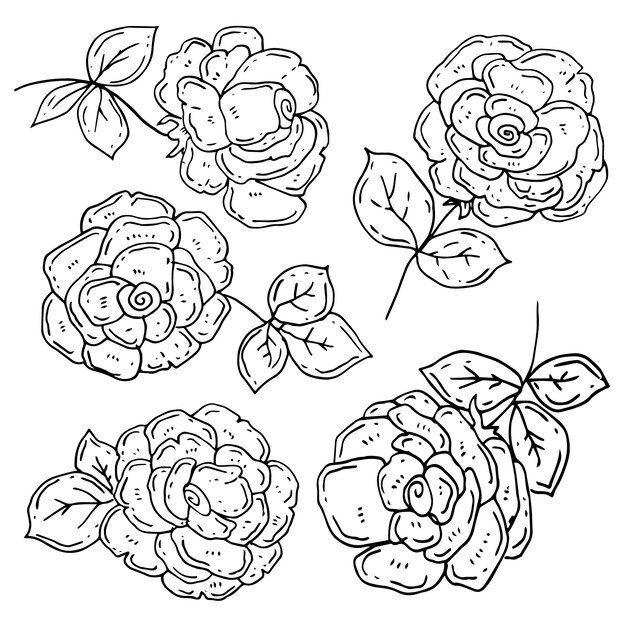 Hand drawn simple flower outline illustration