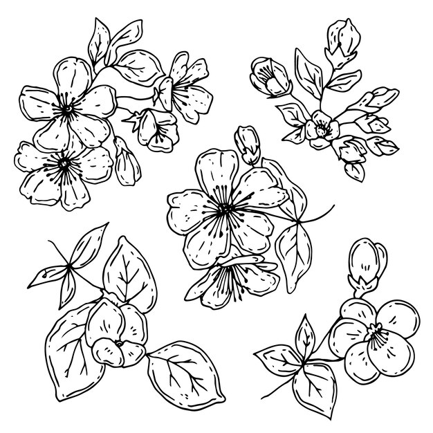 Hand drawn simple flower outline illustration