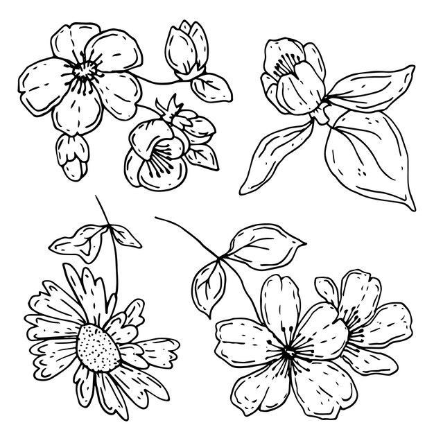 Hand drawn simple flower outline illustration