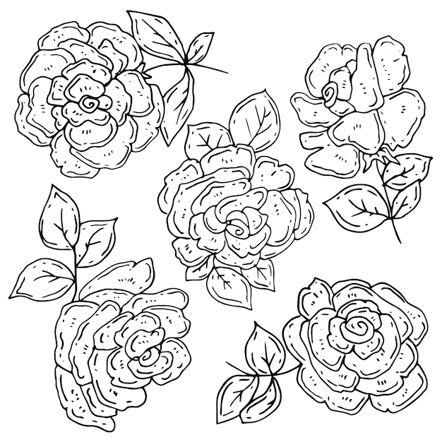 Free Vector hand drawn simple flower outline illustration