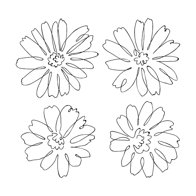 Hand drawn simple flower outline illustration