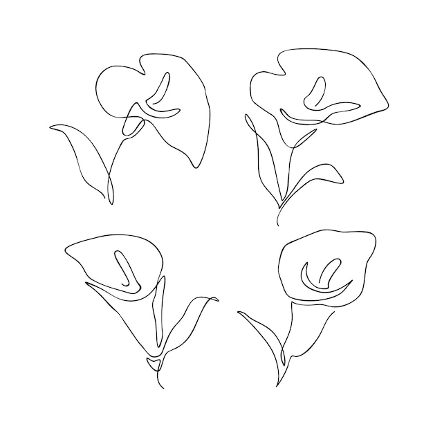 Hand drawn simple flower outline illustration