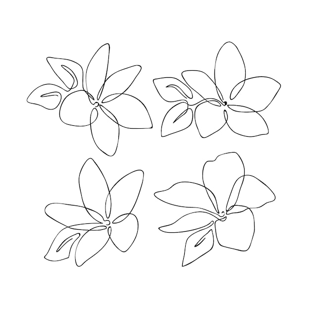 Hand drawn simple flower outline illustration