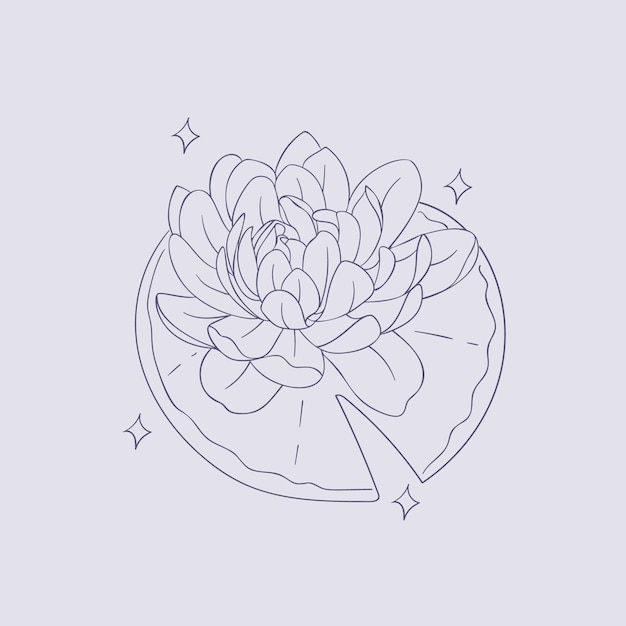 Hand drawn simple flower outline illustration