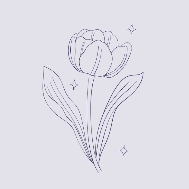 Hand drawn simple flower outline illustration