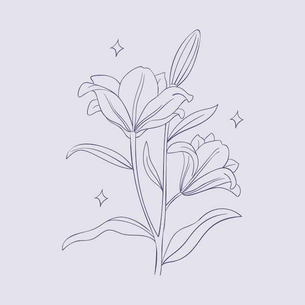 Free Vector hand drawn simple flower outline illustration