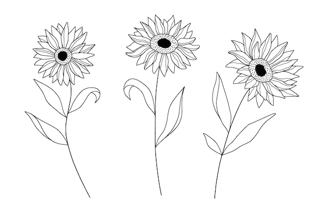 Hand drawn simple flower outline illustration