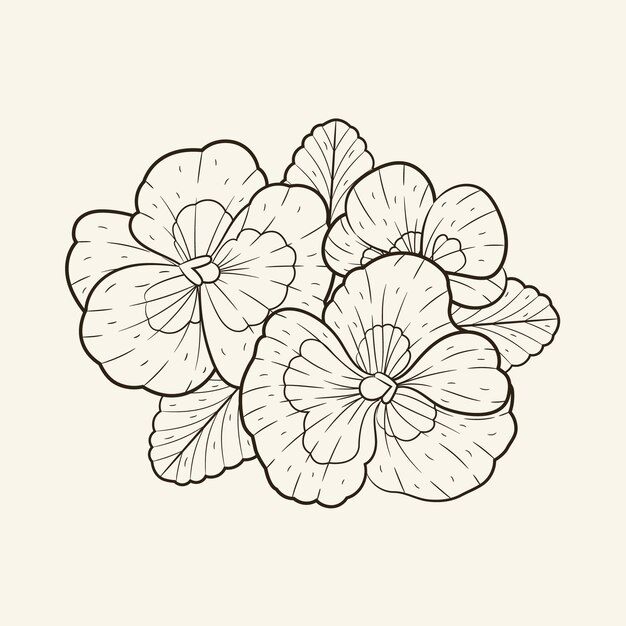 Hand drawn simple flower outline illustration