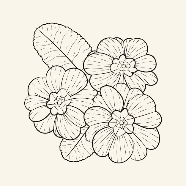 Free Vector hand drawn simple flower outline illustration