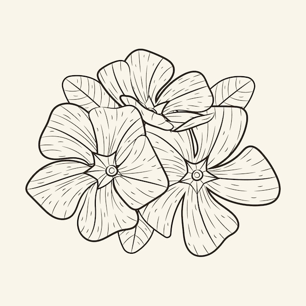 Hand drawn simple flower outline illustration