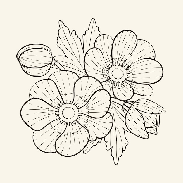 Hand drawn simple flower outline illustration