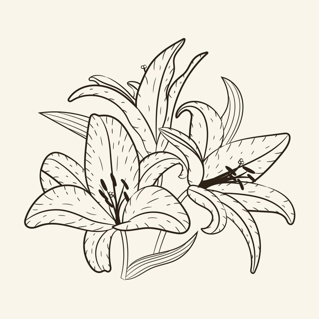 Hand drawn simple flower outline illustration