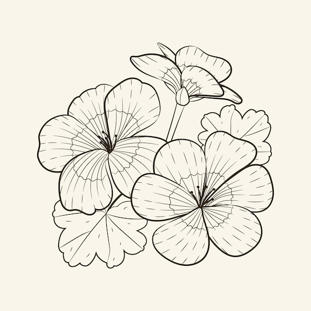 Hand drawn simple flower outline illustration