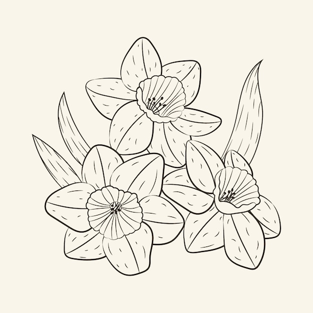 Hand drawn simple flower outline illustration