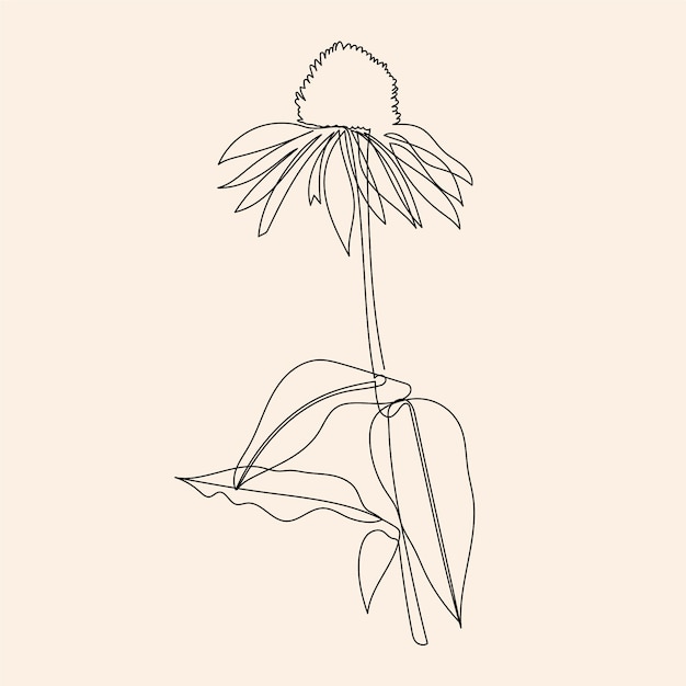 Free Vector hand drawn simple flower outline