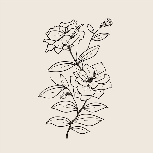 Free Vector hand drawn simple flower outline