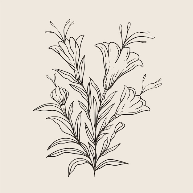 Free Vector hand drawn simple flower outline