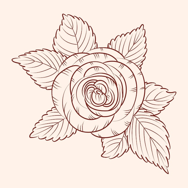 Free Vector hand drawn simple flower outline