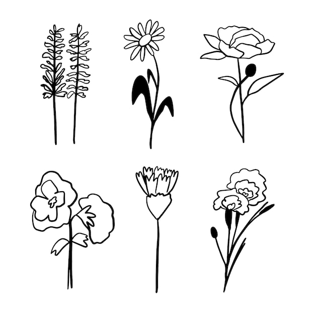 Free Vector hand drawn simple flower outline