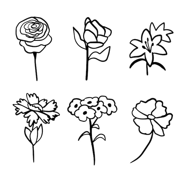 Hand drawn simple flower outline