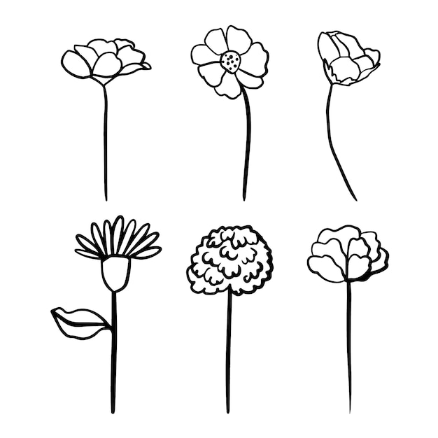 Free Vector hand drawn simple flower outline