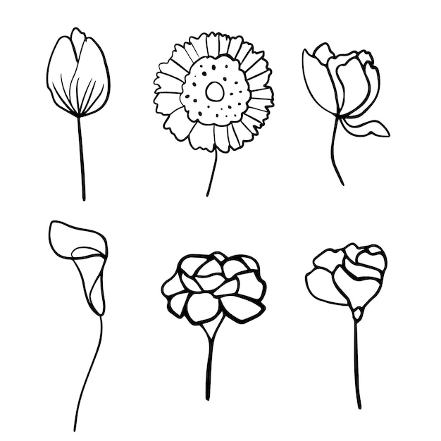 Hand drawn simple flower outline