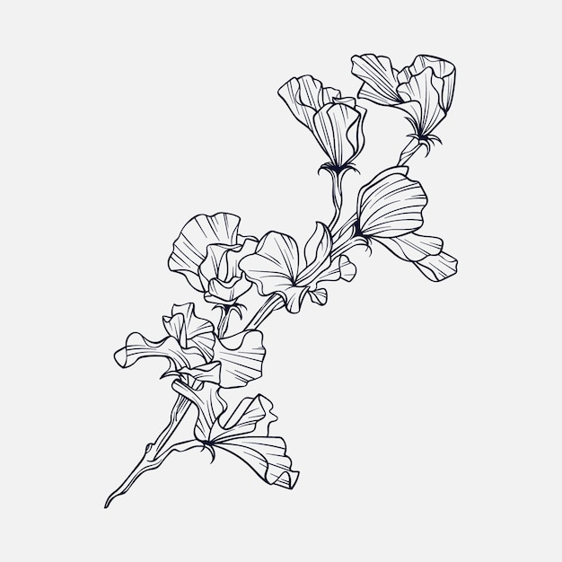 Hand drawn simple flower outline